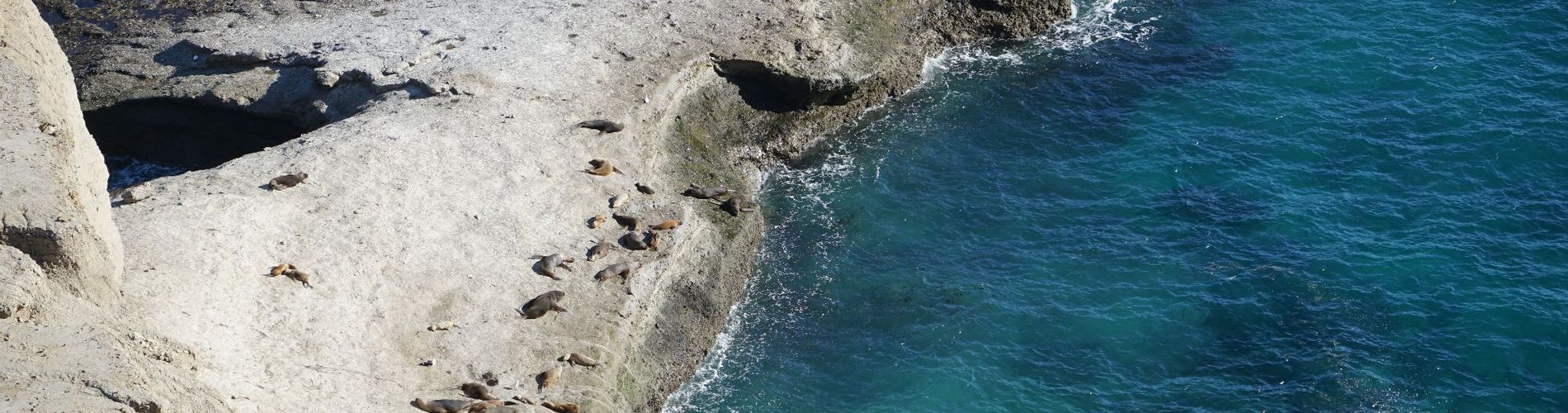 Las Restingas Hotel de Mar