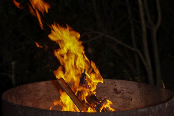 Domo Ilusión Silvestre