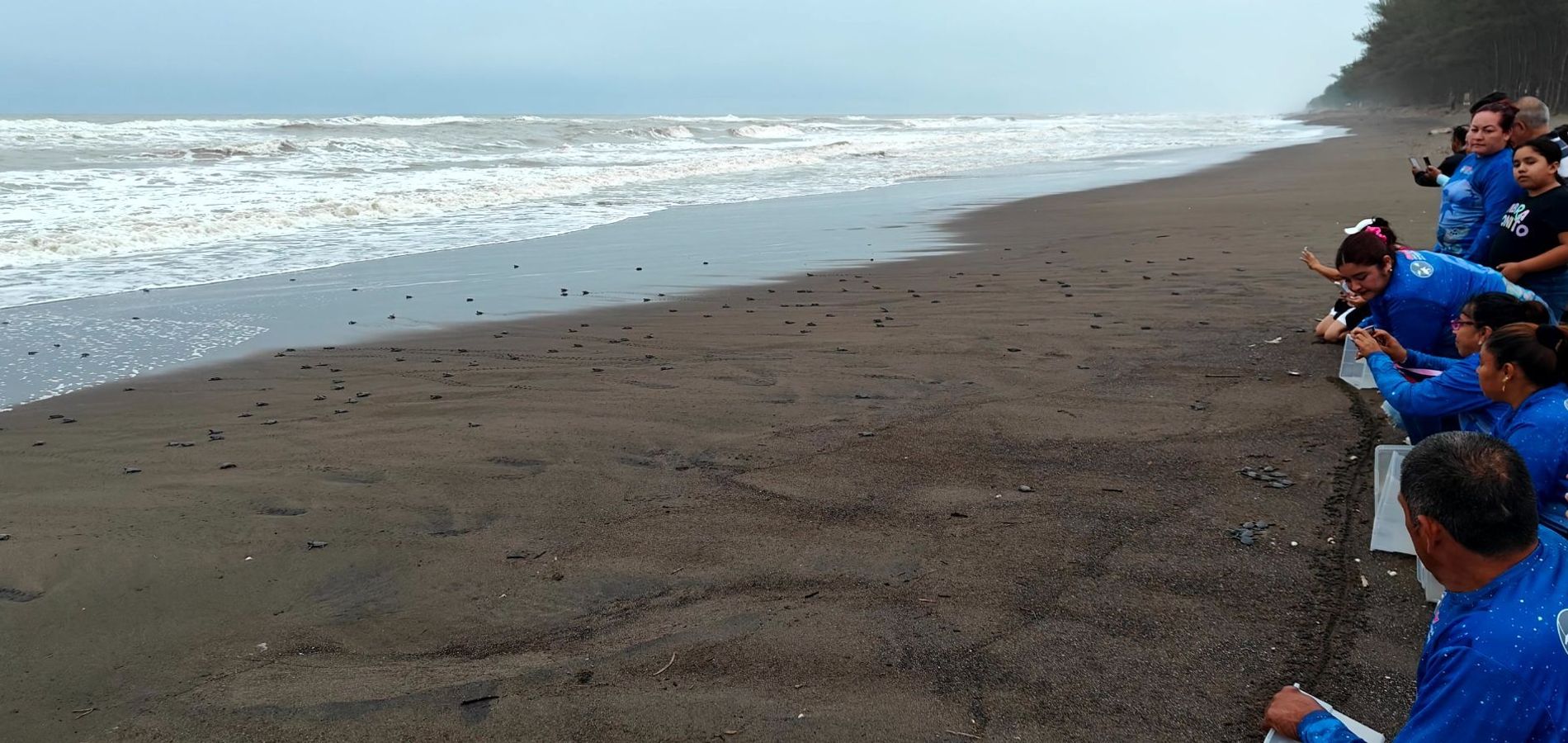 Hotel Playa Tortugas