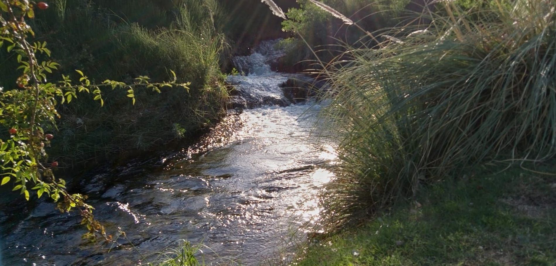 Villa Oliva Cabañas