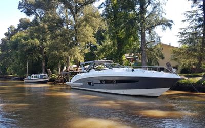 BosquedeBohemia - Amarra