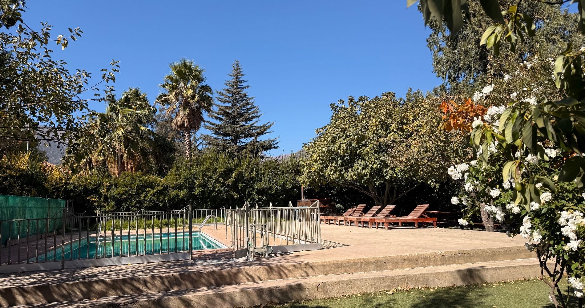 LOS OLMOS HOTEL. SELFIBAR RESTAURANTE