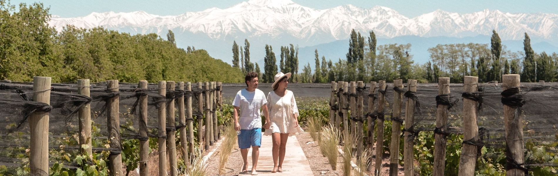 Agrelo Vines