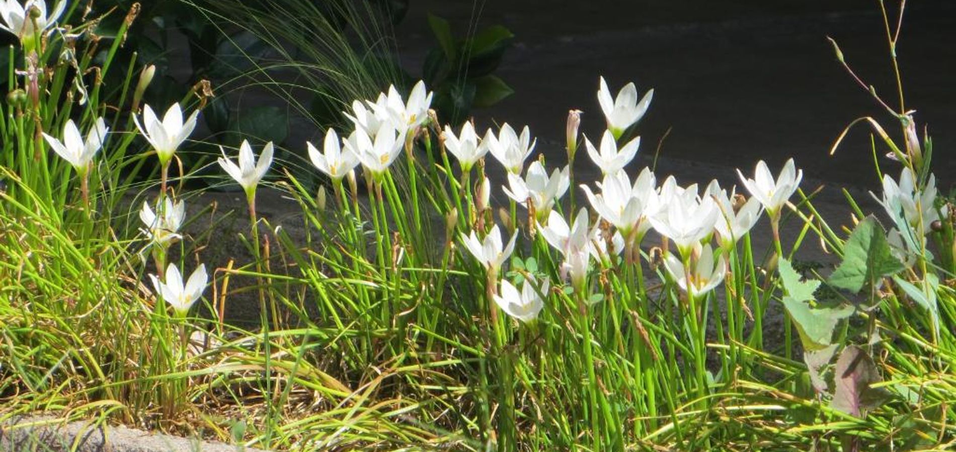 El Encuentro Posada Boutique || Chacras de Coria