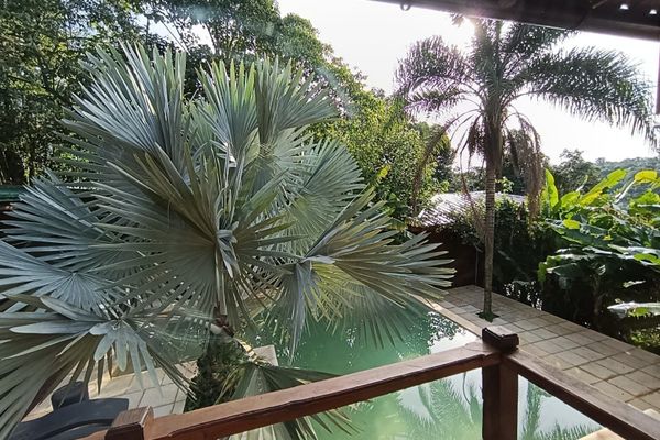 Habitación Suite Vista Selva