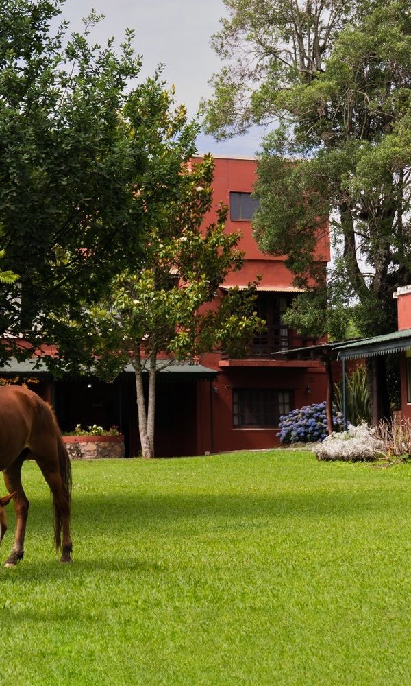 Nuevas Cabañas Del Sol