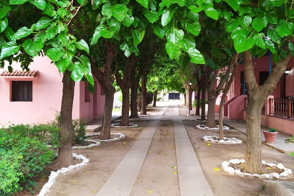 Habitación Doble Matrimonial