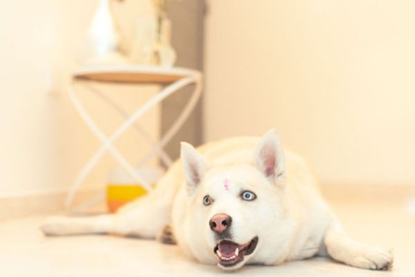 BOGOTÁ SEDE 2 - 202 Apto nuevo para 8 personas. Ampli y central