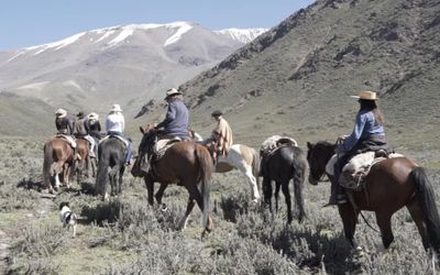 PosadaCavieres - horsetrekandes