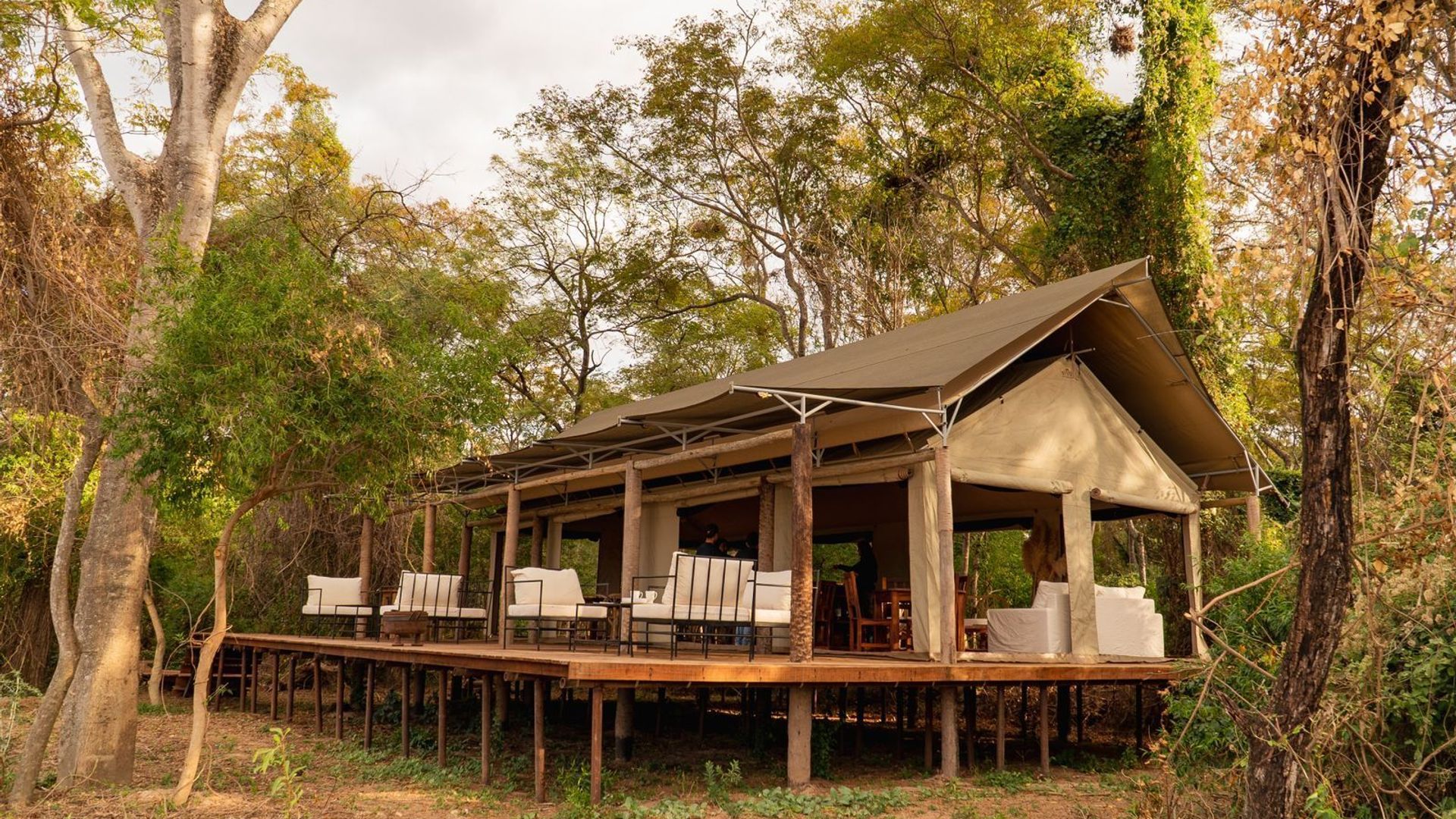 Glamping Los Palmares