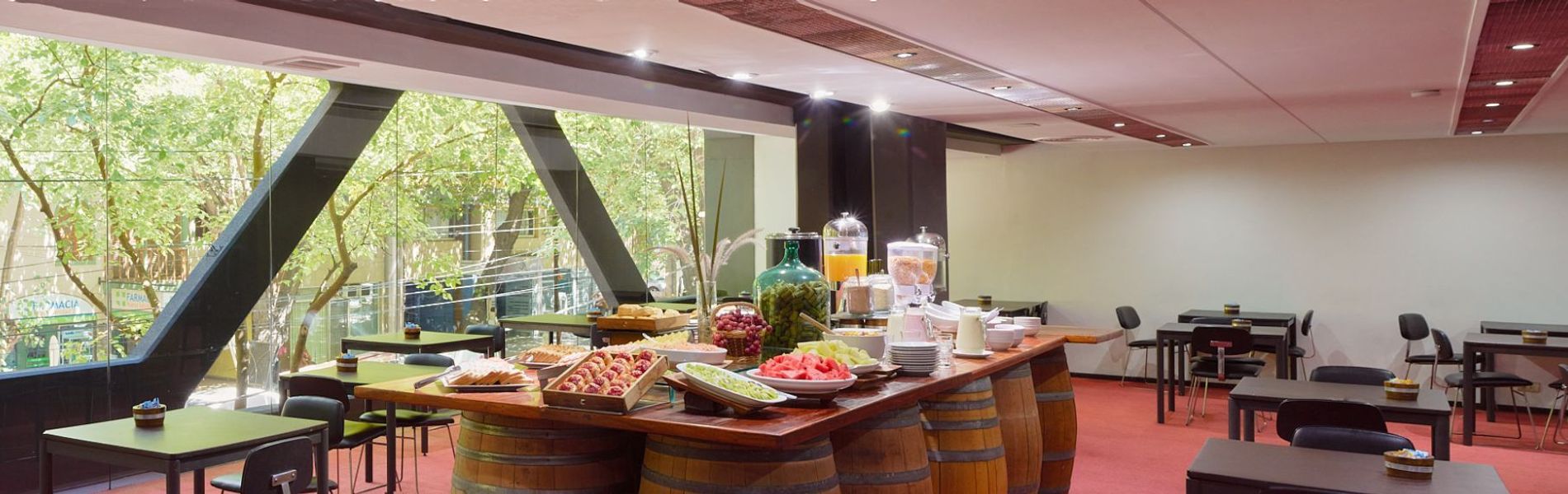 Hotel Raíces Aconcagua