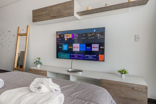 EXPERIENCIA ZEN (903)