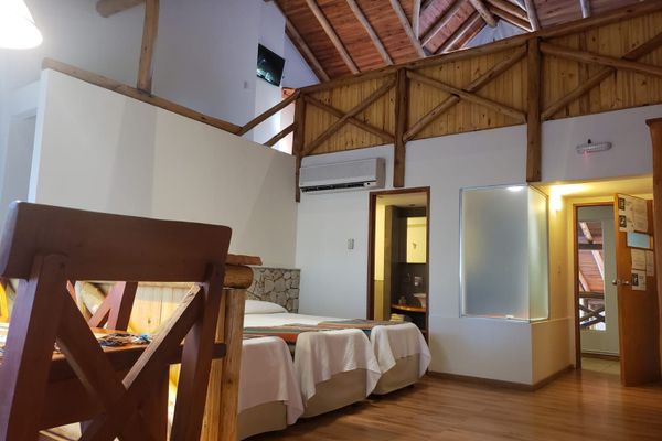 Suite apart LOFT Premium  (Planta Alta) 202