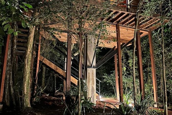 Cabaña en el Árbol 