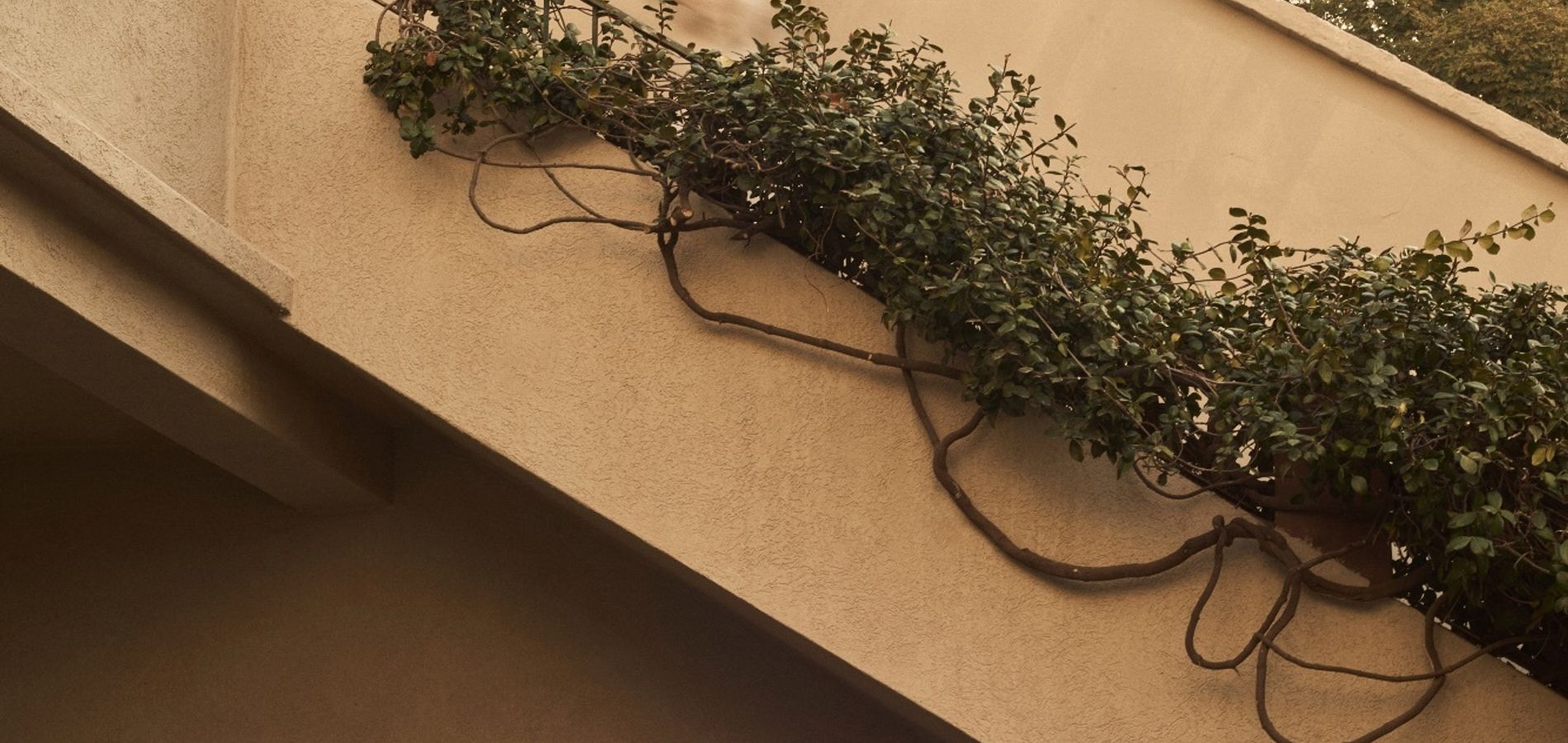 W&H Casa de Huéspedes