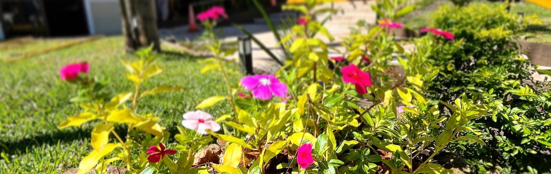 Arasari Hotel Iguazú