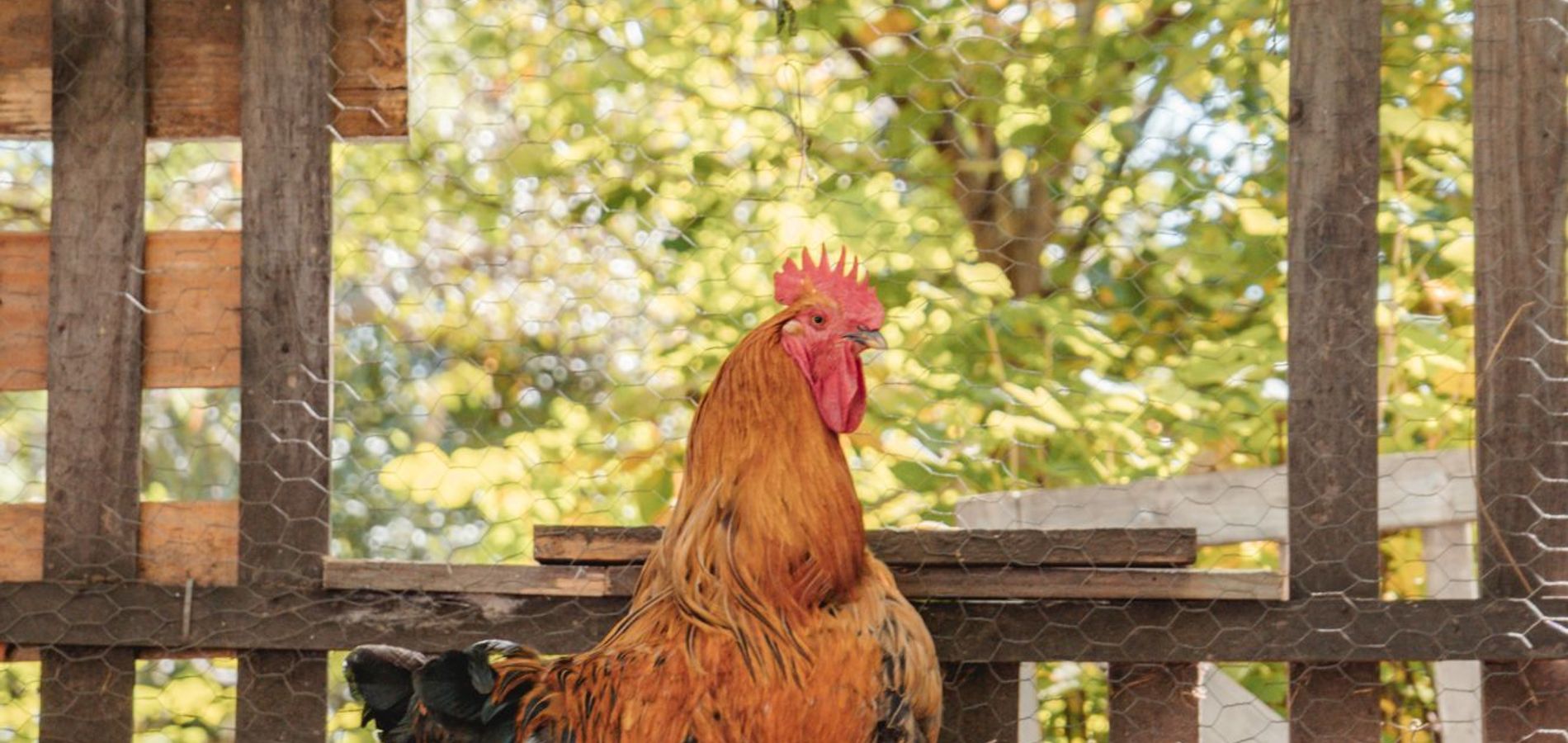 EQUS POSADA DE CAMPO