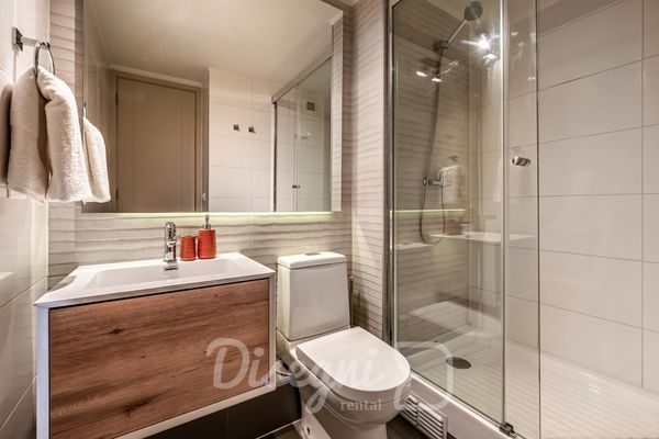 Departamento Santiago Centro, Metro y Cultura Disegni 15