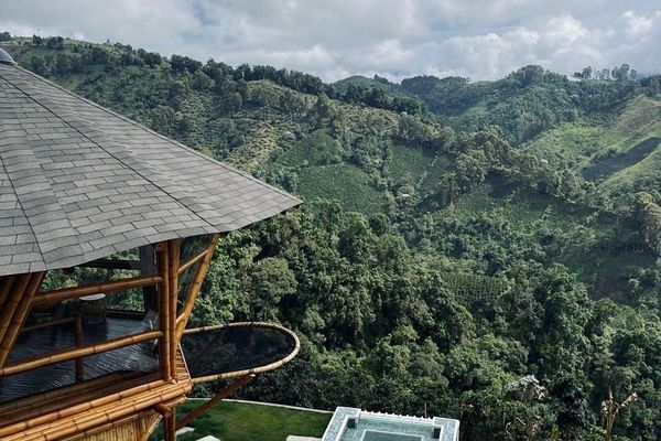 Cabaña Tangara Real