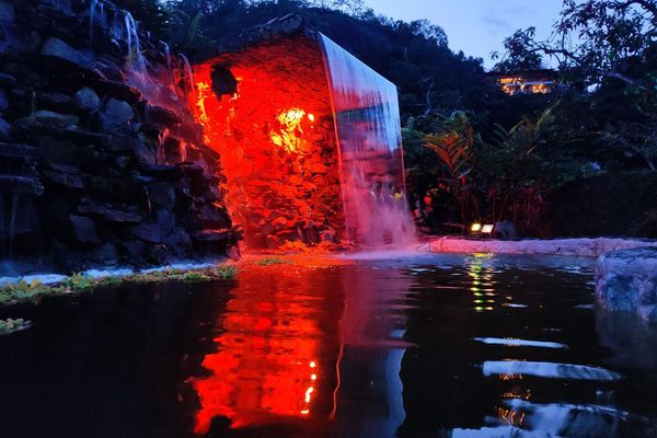 Plan Celebracion y Bienestar