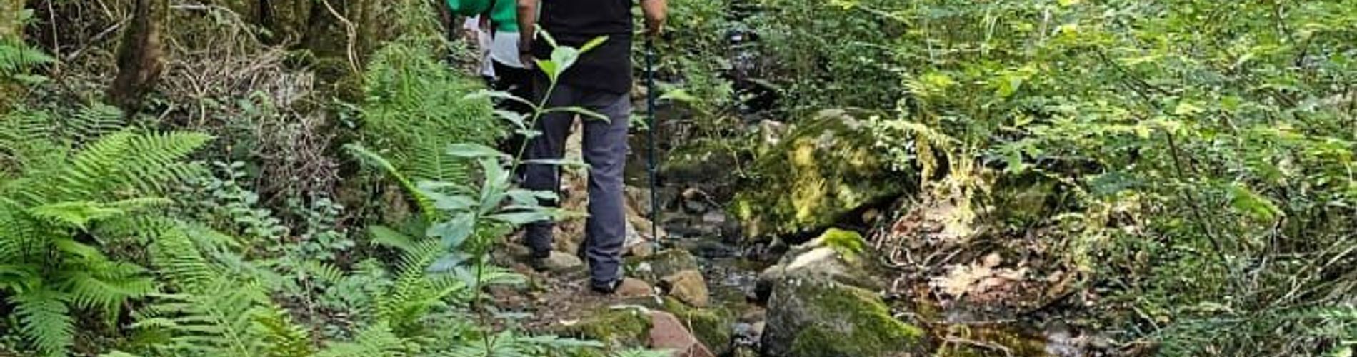 Mesón de Las Cañas