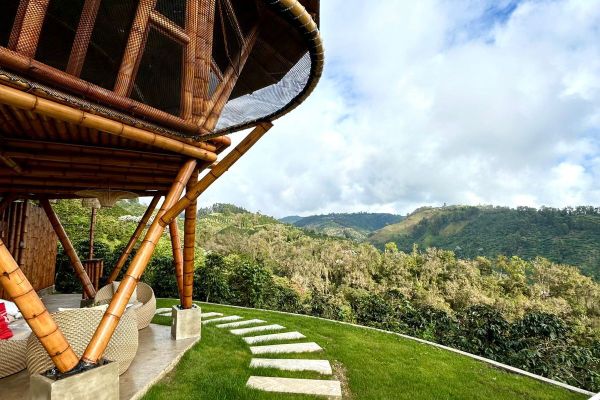 Cabaña Tangara Real