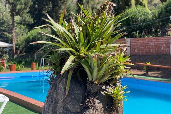 Chalet Azul para 7 personas  