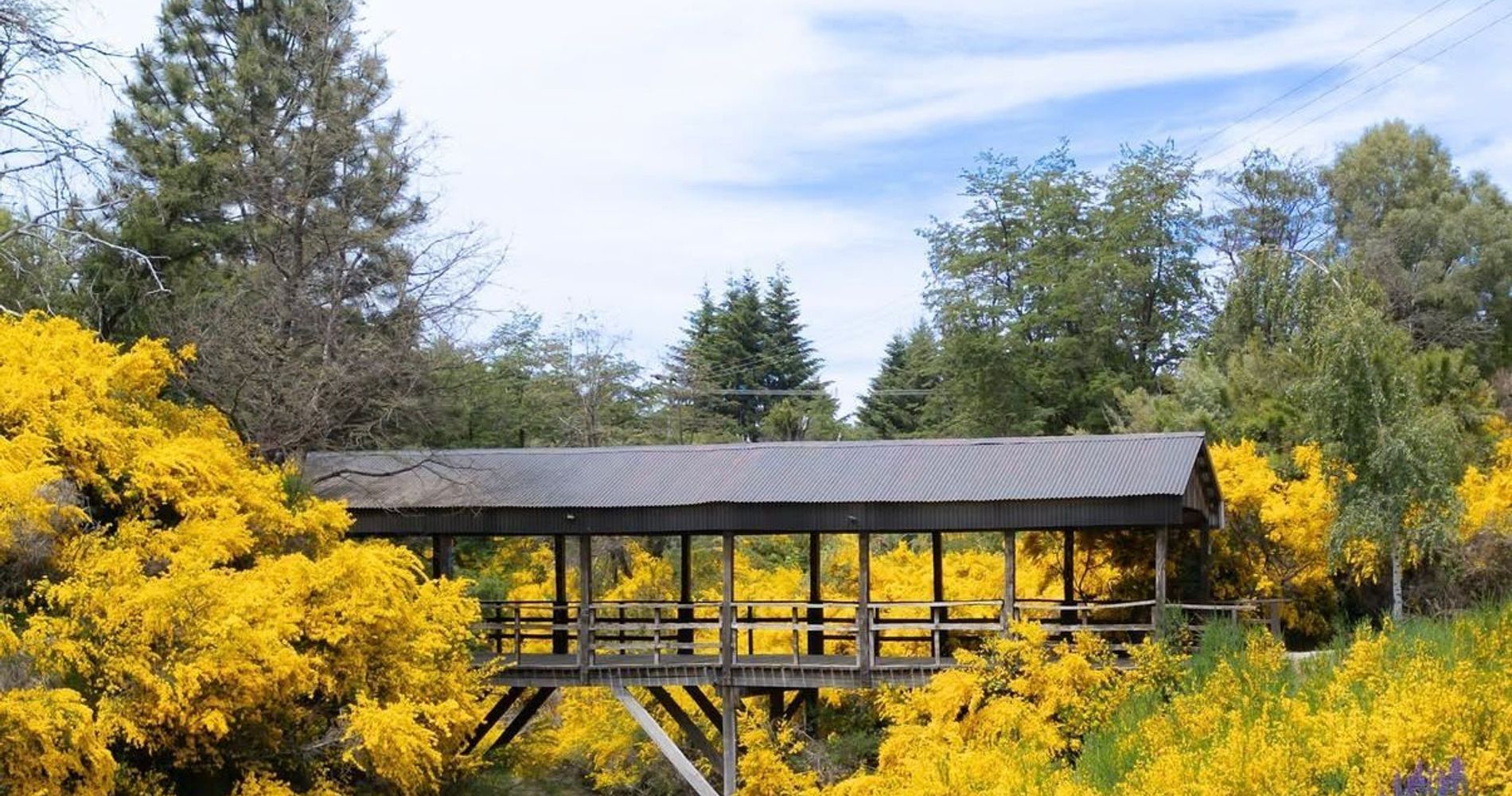 Departamentos De El Mercado