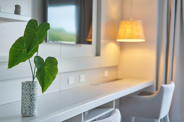 Suite Superior