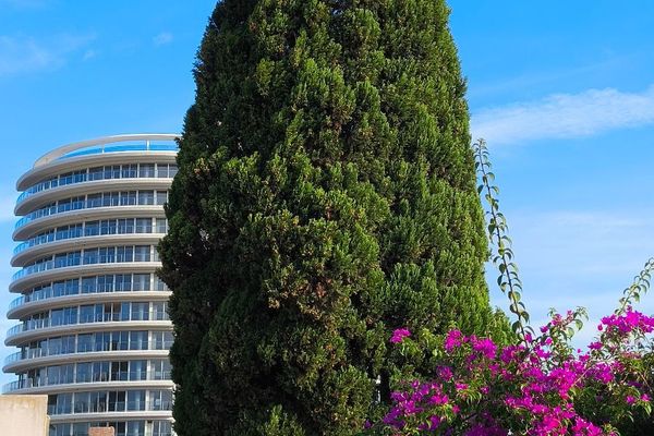 Tres Ambientes 9 de Julio