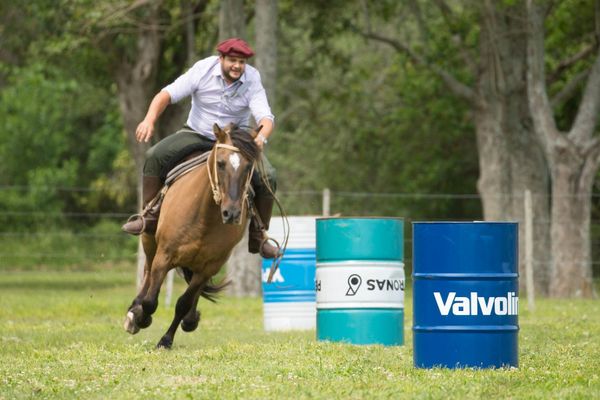 Día de campo Gaucho