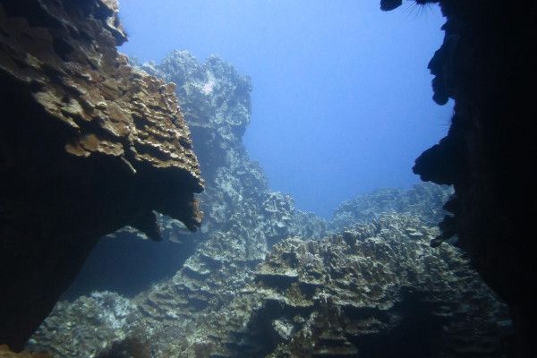 Buzos Certificados  (Experimentados)