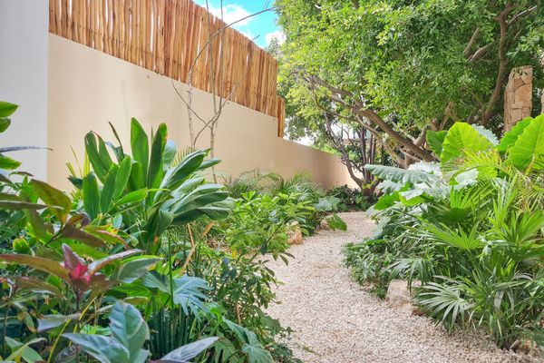 Kaab estudio by the beach