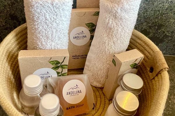 Lodge con vista a la montaña