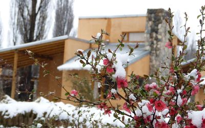 CabanasMonteCoiron - Alojamiento 