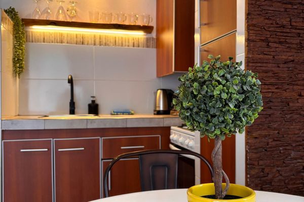 Dos ambientes en una planta