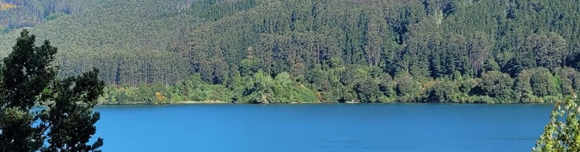 Complejo Turístico La Rueda del Chucao