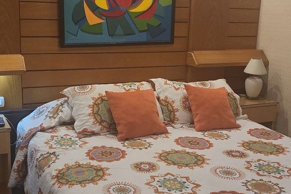 Habitación Single Suite