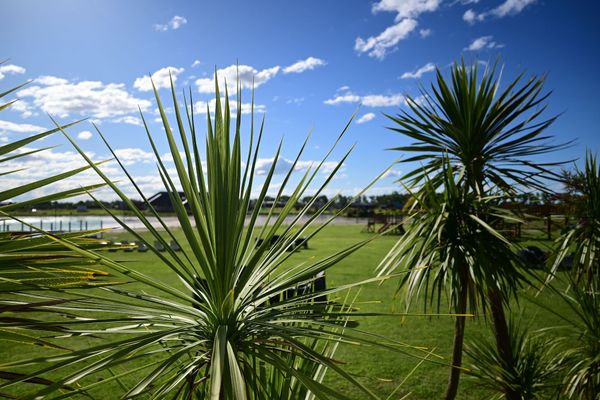 Habitación Doble Estándar