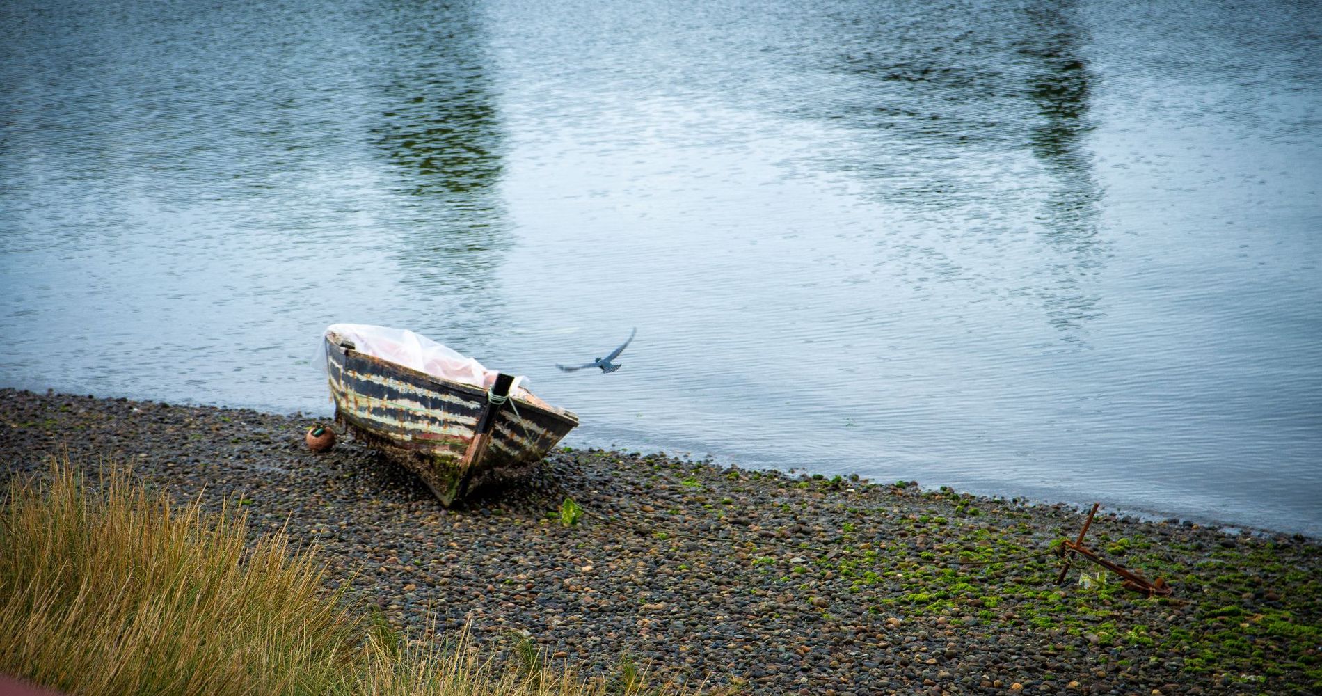 Cabañas Palafitos Dalmacia