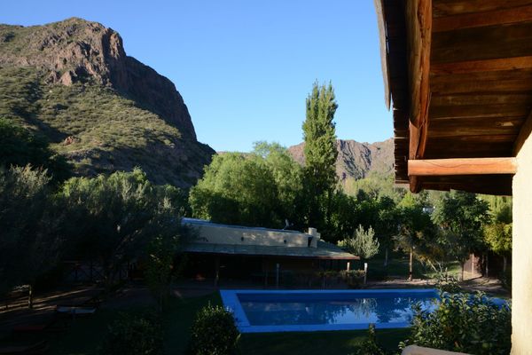 Eucaliptos - hasta 6 pax 