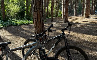 AlojamientoCariloPrinces - Bicicletas