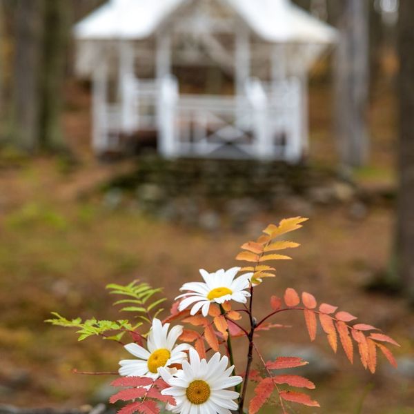 Cabañas Aldea Nevada