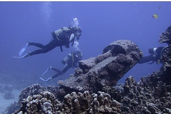 Buzos Certificados  (Experimentados)