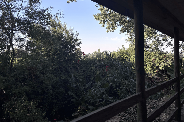 Habitación doble Matrimonial