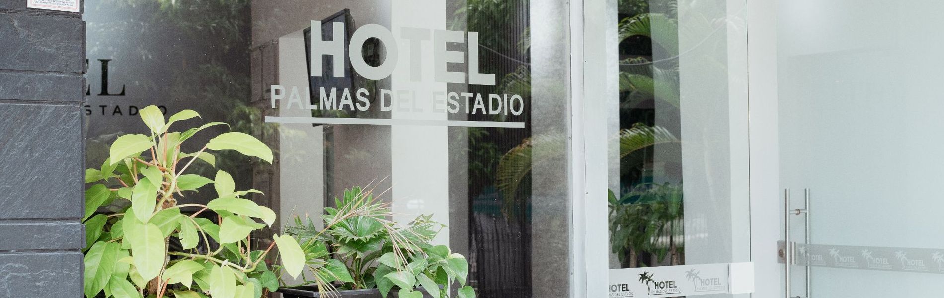 Hotel Palmas Del Estadio