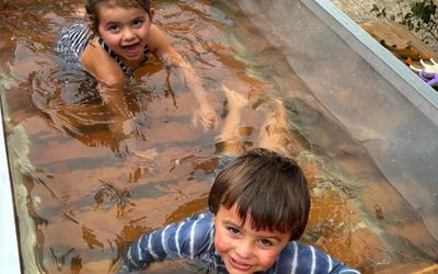 Parquelaguna - Cubas 