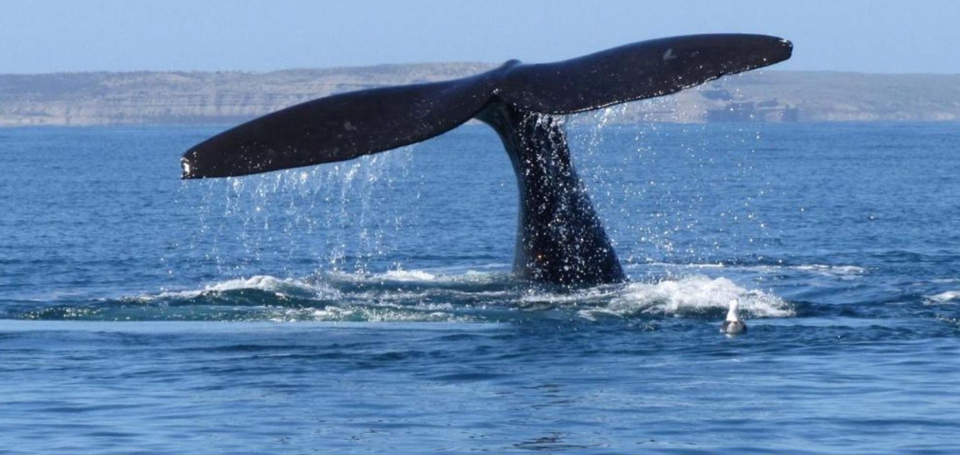 HOTEL CASINO DEL RÍO - LAS GRUTAS