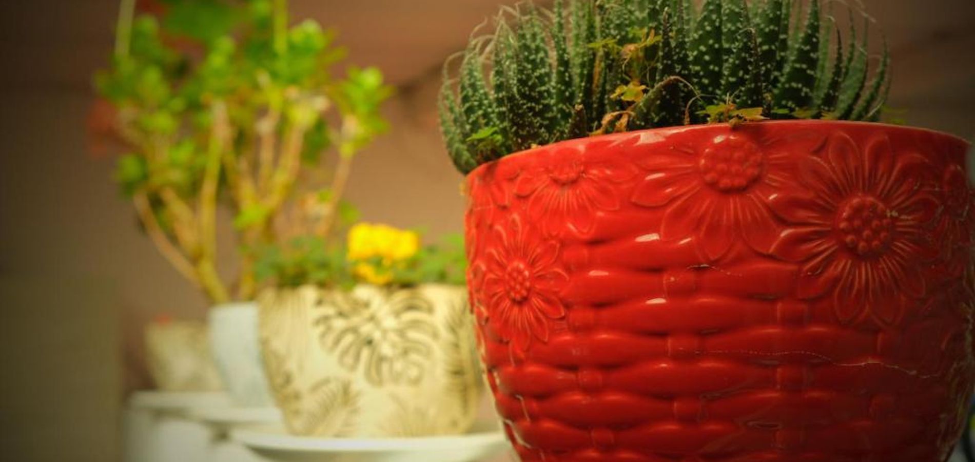 Hostel Metro Floresta Alojamiento