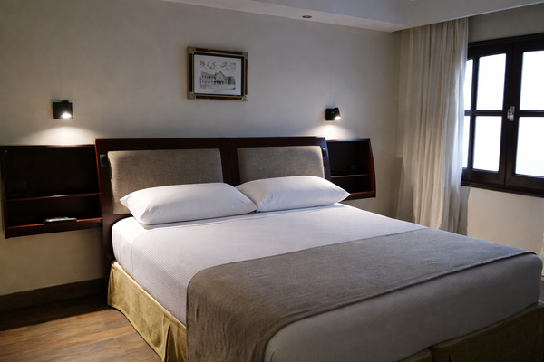 Habitación Estándar 